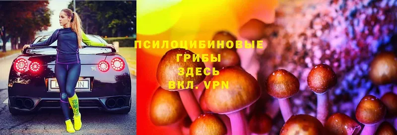 Псилоцибиновые грибы Magic Shrooms  Гусиноозёрск 